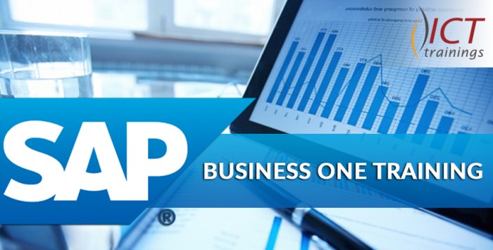 SAP Business One