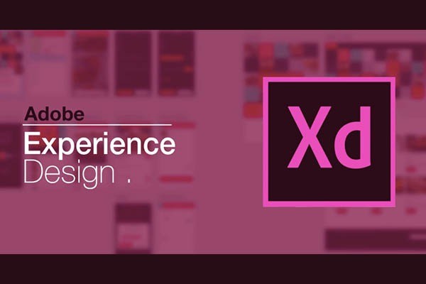 Adobe Xd